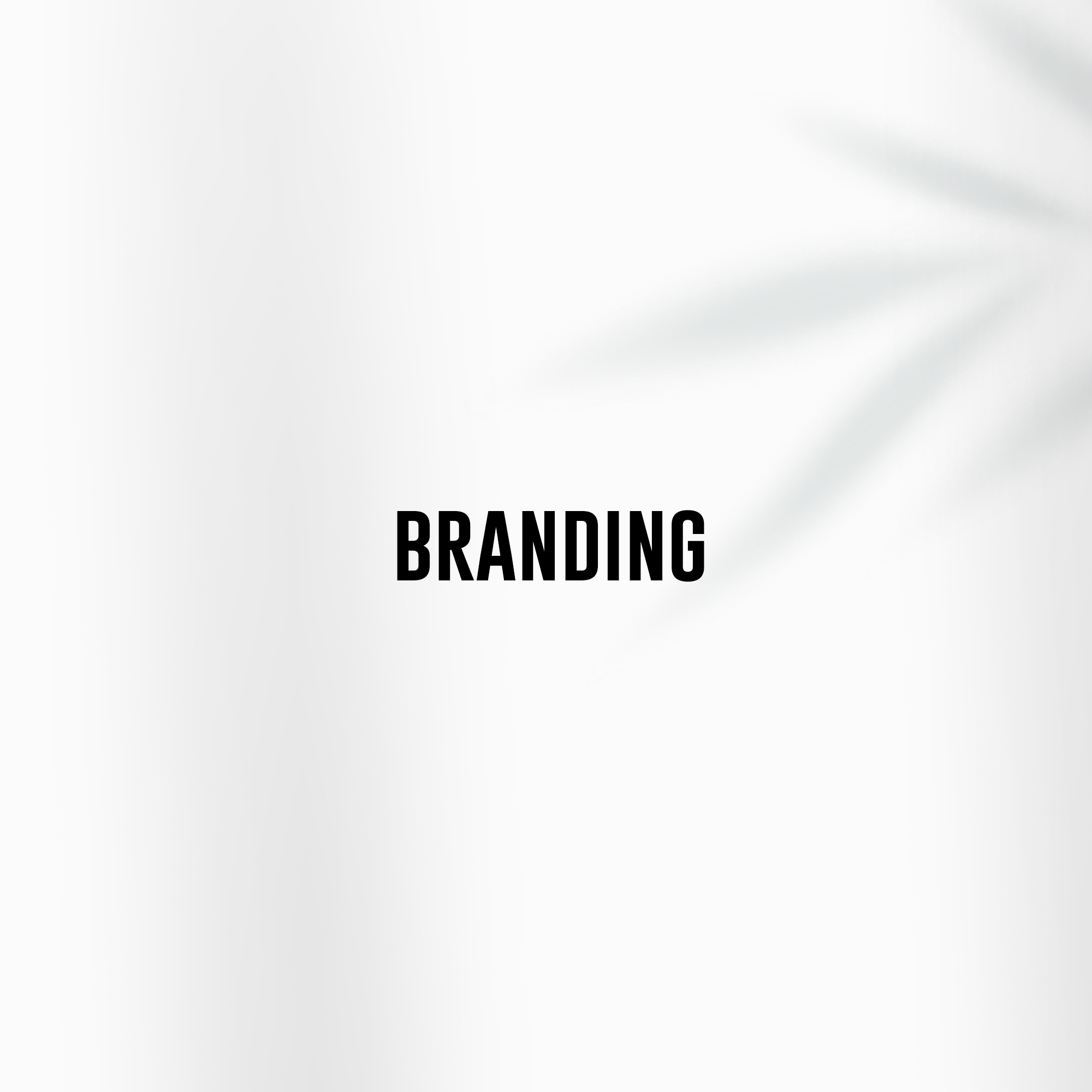 branding services